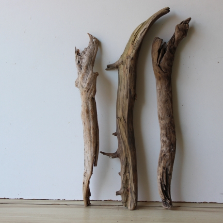 Treibholz Schwemmholz Driftwood 3 XL  Hölzer 60-69 cm 