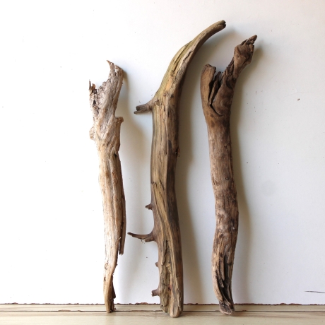 Treibholz Schwemmholz Driftwood 3 XL  Hölzer 60-69 cm 