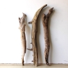 Treibholz Schwemmholz Driftwood 3 XL  Hölzer 60-69 cm 