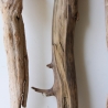 Treibholz Schwemmholz Driftwood 3 XL  Hölzer 60-69 cm 