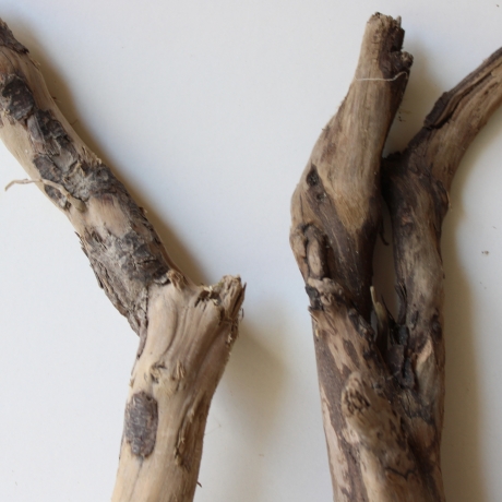 Treibholz Schwemmholz Driftwood 4 Hölzer 55-63 cm 