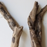 Treibholz Schwemmholz Driftwood 4 Hölzer 55-63 cm 
