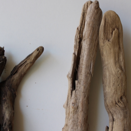Treibholz Schwemmholz Driftwood 4 Hölzer 55-63 cm 