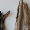 Treibholz Schwemmholz Driftwood 4 Hölzer 55-63 cm 