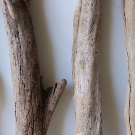 Treibholz Schwemmholz Driftwood 4 Hölzer 55-63 cm 