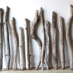 Treibholz Schwemmholz Driftwood 11 Äste 44-64cm  *PWL1*