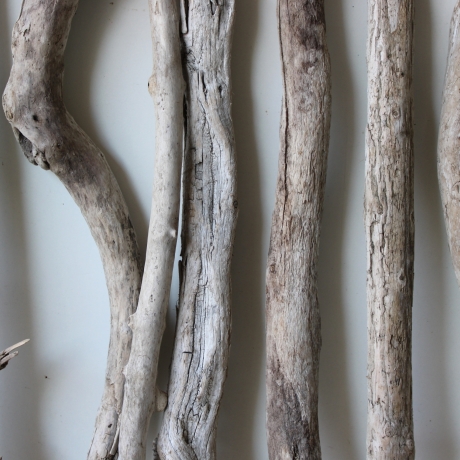 Treibholz Schwemmholz Driftwood 11 Äste 44-64cm  *PWL1*