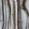 Treibholz Schwemmholz Driftwood 11 Äste 44-64cm  *PWL1*