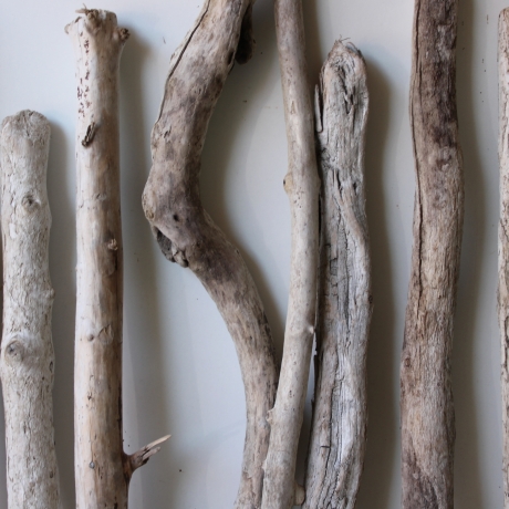 Treibholz Schwemmholz Driftwood 11 Äste 44-64cm  *PWL1*