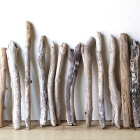 Treibholz Schwemmholz Driftwood 20 Ästchen 24-34 cm  *A*