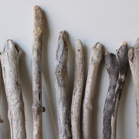 Treibholz Schwemmholz Driftwood 20 Ästchen 24-34 cm  *A*