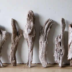 Treibholz Schwemmholz Driftwood 8 Hölzer  23 - 31 cm  **E4**