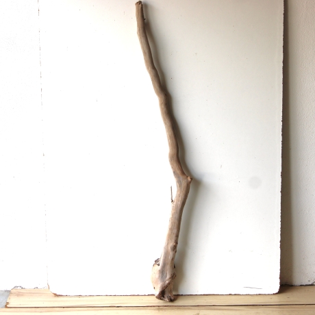 Treibholz Schwemmholz Driftwood 1 XXL  Ast  Garderobe 125 cm 