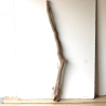 Treibholz Schwemmholz Driftwood 1 XXL  Ast  Garderobe 125 cm 