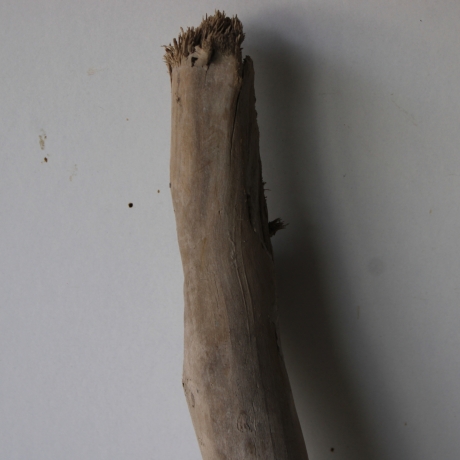 Treibholz Schwemmholz Driftwood 1 XXL  Ast  Garderobe 125 cm 