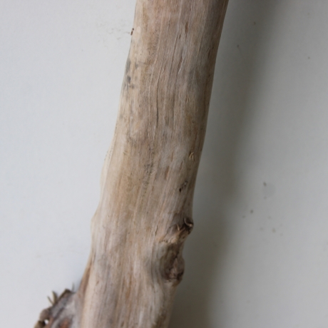 Treibholz Schwemmholz Driftwood 1 XXL  Ast  Garderobe 125 cm 