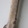 Treibholz Schwemmholz Driftwood 1 XXL  Ast  Garderobe 125 cm 