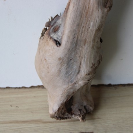 Treibholz Schwemmholz Driftwood 1 XXL  Ast  Garderobe 125 cm 