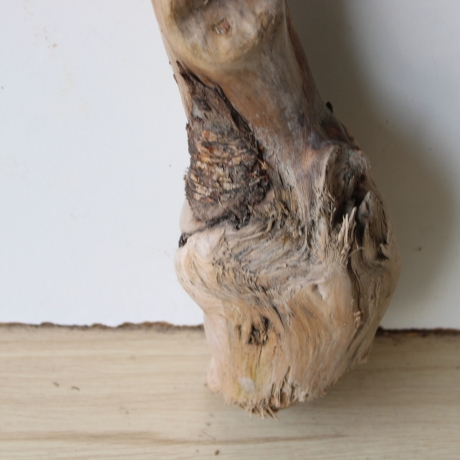 Treibholz Schwemmholz Driftwood 1 XXL  Ast  Garderobe 125 cm 