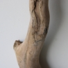 Treibholz Schwemmholz Driftwood 1 XXL  Ast  Garderobe 125 cm 