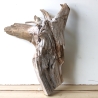 Treibholz Schwemmholz Driftwood 1 XXL Wurzel  Terrarium 58 cm 