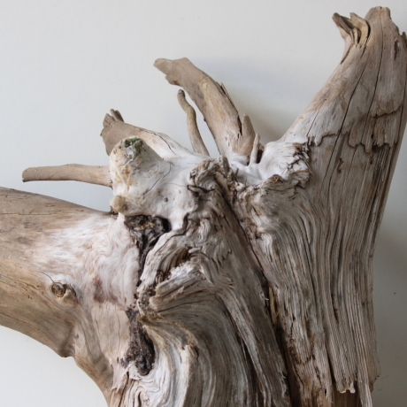 Treibholz Schwemmholz Driftwood 1 XXL Wurzel  Terrarium 58 cm 