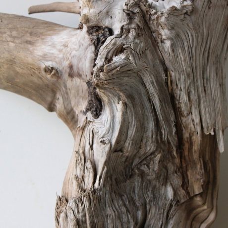 Treibholz Schwemmholz Driftwood 1 XXL Wurzel  Terrarium 58 cm 