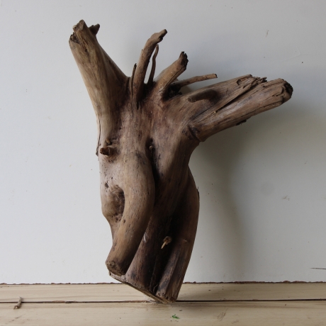 Treibholz Schwemmholz Driftwood 1 XXL Wurzel  Terrarium 58 cm 