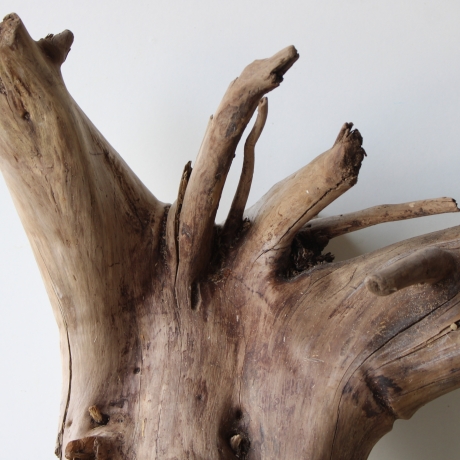 Treibholz Schwemmholz Driftwood 1 XXL Wurzel  Terrarium 58 cm 