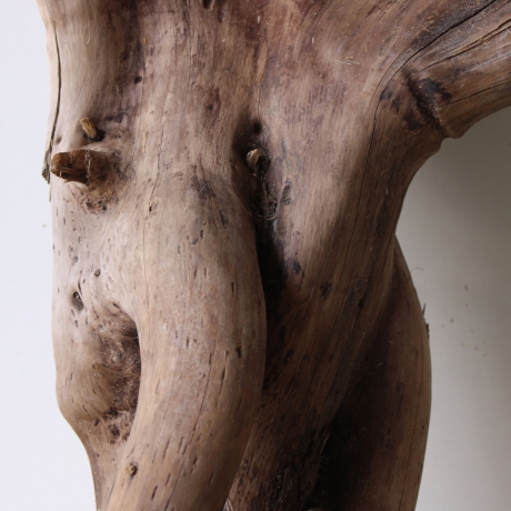 Treibholz Schwemmholz Driftwood 1 XXL Wurzel  Terrarium 58 cm 