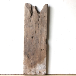 Treibholz Schwemmholz Driftwood  1 XL Brett Regal 55 cm  