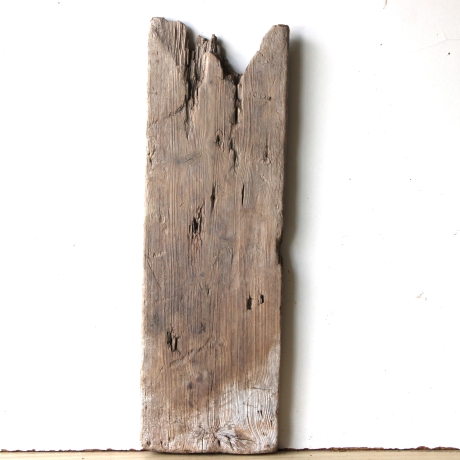 Treibholz Schwemmholz Driftwood  1 XL Brett Regal 55 cm  