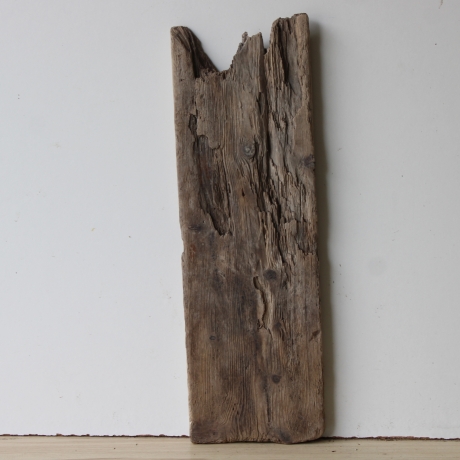 Treibholz Schwemmholz Driftwood  1 XL Brett Regal 55 cm  