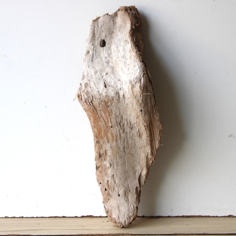 Treibholz Schwemmholz Driftwood 1 Skulptur  50 cm 