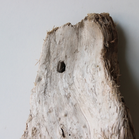 Treibholz Schwemmholz Driftwood 1 Skulptur  50 cm 