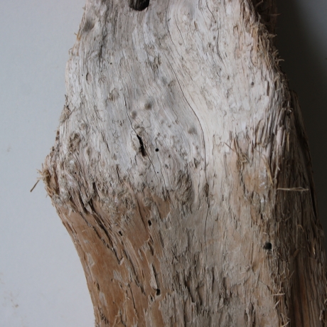 Treibholz Schwemmholz Driftwood 1 Skulptur  50 cm 