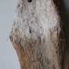Treibholz Schwemmholz Driftwood 1 Skulptur  50 cm 