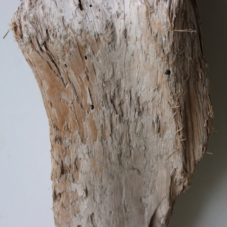 Treibholz Schwemmholz Driftwood 1 Skulptur  50 cm 