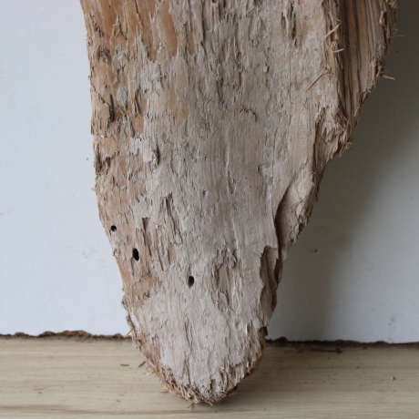 Treibholz Schwemmholz Driftwood 1 Skulptur  50 cm 