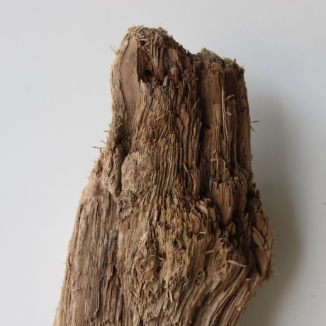 Treibholz Schwemmholz Driftwood 1 Skulptur  50 cm 