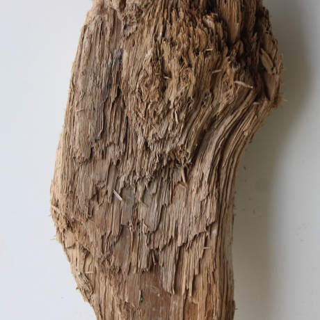 Treibholz Schwemmholz Driftwood 1 Skulptur  50 cm 
