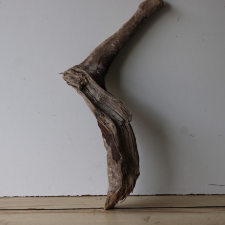 Treibholz Schwemmholz Driftwood 1 knorrige Wurzel   65 cm 