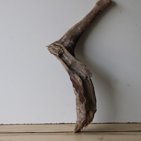 Treibholz Schwemmholz Driftwood 1 knorrige Wurzel   65 cm 