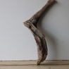 Treibholz Schwemmholz Driftwood 1 knorrige Wurzel   65 cm 