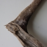 Treibholz Schwemmholz Driftwood 1 knorrige Wurzel   65 cm 