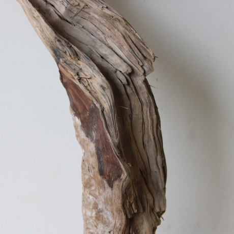 Treibholz Schwemmholz Driftwood 1 knorrige Wurzel   65 cm 