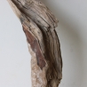 Treibholz Schwemmholz Driftwood 1 knorrige Wurzel   65 cm 