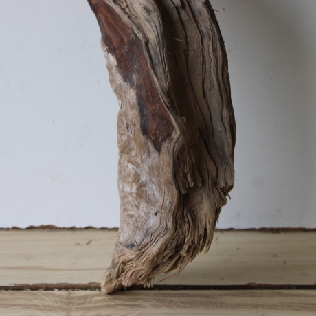 Treibholz Schwemmholz Driftwood 1 knorrige Wurzel   65 cm 