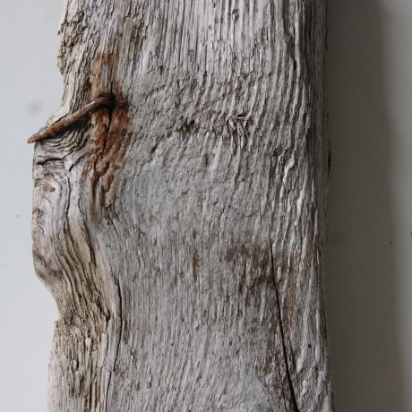Treibholz Schwemmholz Driftwood  1 dickes Brett Regal  60 cm  