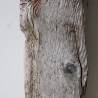 Treibholz Schwemmholz Driftwood  1 dickes Brett Regal  60 cm  